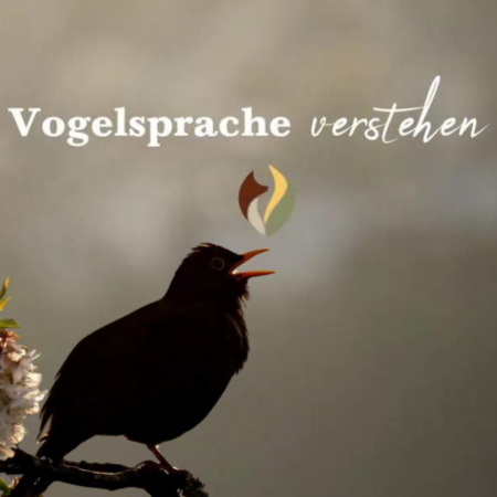 Vogelsprache verstehen (06.05.2024)